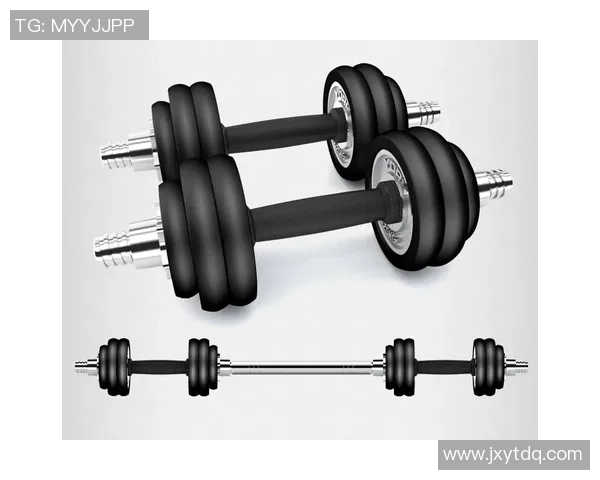 全面提升力量与耐力的哑铃套装健身房器材推荐与使用指南